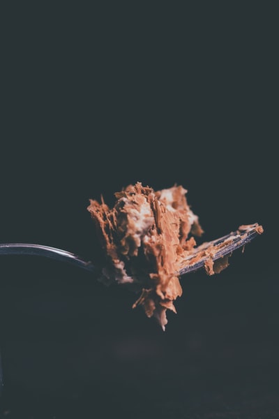 叉子上的巧克力蛋糕特写照片
